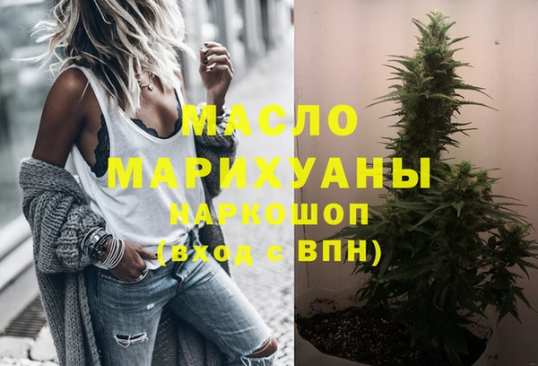 сатива Беломорск