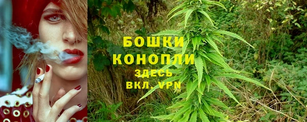 ГАЛЛЮЦИНОГЕННЫЕ ГРИБЫ Баксан