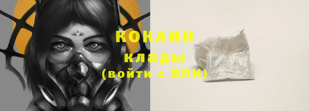 сатива Беломорск