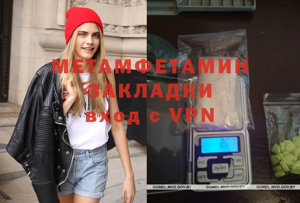 сатива Беломорск
