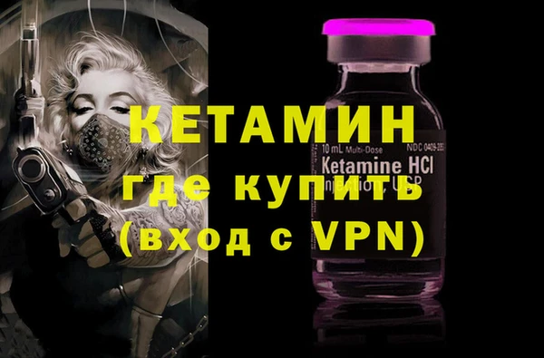 сатива Беломорск