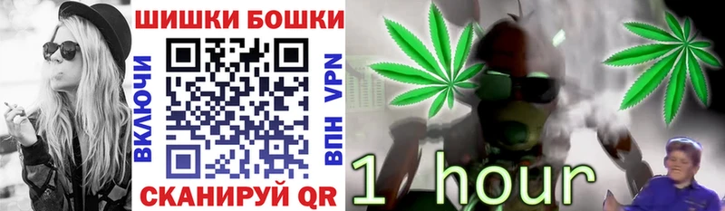Каннабис семена  как найти закладки  Болгар 